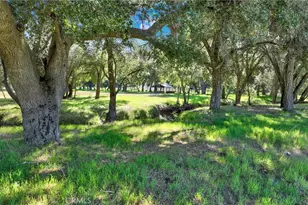36000 Tenaja Truck Trail, Ortega Mountain, CA 92530 - Photo 4