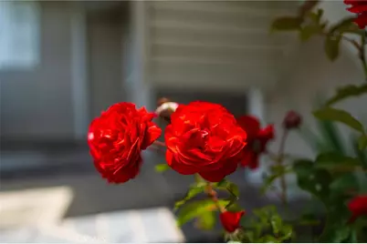 17661 Still Harbor, Huntington Beach, CA 92647 - Photo 8