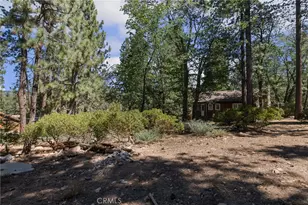 855 Conklin Rd, Big Bear Lake, CA 92315 - Photo 32