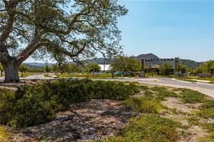230 Yearling Wy, Rancho Mission Viejo, CA 92694 - Photo 46