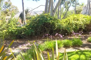 55 Fleurance, Laguna Niguel, CA 92677 - Photo 14