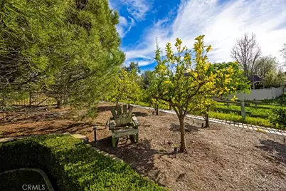 31445 Juliana Farms Road, San Juan Capistrano, CA 92675 - Photo 46