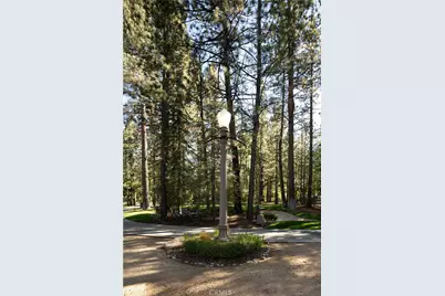 42388 Switzerland Drive, Big Bear Lake, CA 92315 - Photo 70