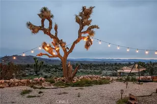 59943 Melton Trail, Joshua Tree, CA 92252 - Photo 16