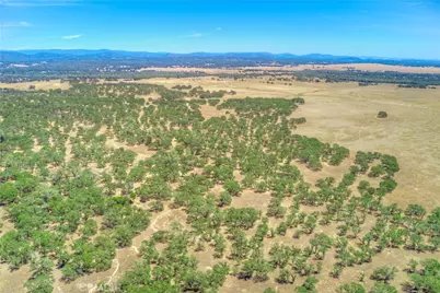 0 Cox Lane, Oroville, CA 95965 - Photo 16