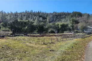 238 Elams Ranch Rd, Oroville, CA 95966 - Photo 4