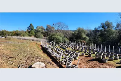 238 Elams Ranch Road, Oroville, CA 95966 - Photo 66