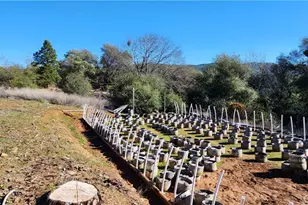 238 Elams Ranch Rd, Oroville, CA 95966 - Photo 66