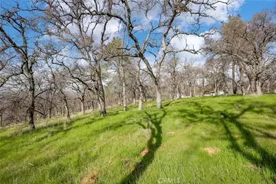 211 Sunny Hills Road, Bangor, CA 95901 - Photo 62