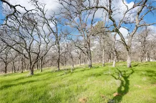 211 Sunny Hills Rd, Bangor, CA 95901 - Photo 60