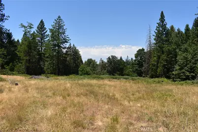 11605 La Porte Road, Challenge, CA 95925 - Photo 8