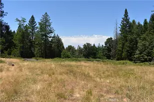 11605 La Porte Rd, Challenge, CA 95925 - Photo 8