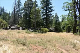 11605 La Porte Rd, Challenge, CA 95925 - Photo 14