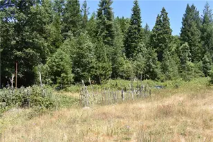 11605 La Porte Rd, Challenge, CA 95925 - Photo 12