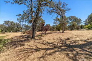 11751 Dori Ct, Marysville, CA 95901 - Photo 66