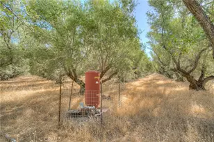 16 Rocky Dr, Oroville, CA 95965 - Photo 44