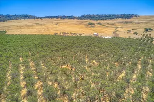 16 Rocky Dr, Oroville, CA 95965 - Photo 20