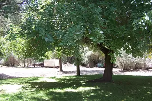 7136 Upper Palermo Rd, Palermo, CA 95968 - Photo 20