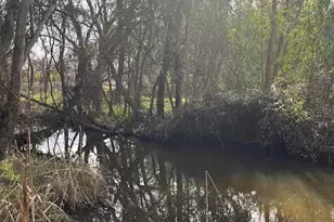 7136 Upper Palermo Rd, Palermo, CA 95968 - Photo 26