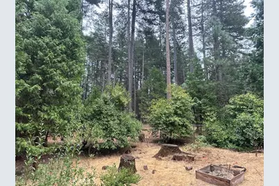 14884 Del Oro Drive, Magalia, CA 95954 - Photo 8