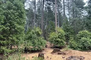 14884 Del Oro Dr, Magalia, CA 95954 - Photo 8