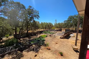 4 Sunrise Hill, Bangor, CA 95966 - Photo 16