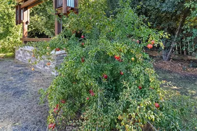 4227 Michelle Court, Chico, CA 95973 - Photo 66