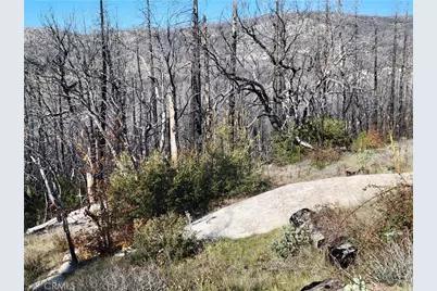 161 Shadow Creek Road, Berry Creek, CA 95916 - Photo 16