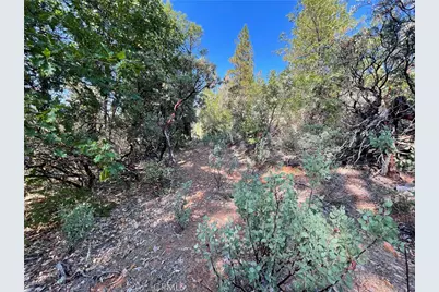 0 Forbestown, Challenge, CA 95925 - Photo 6