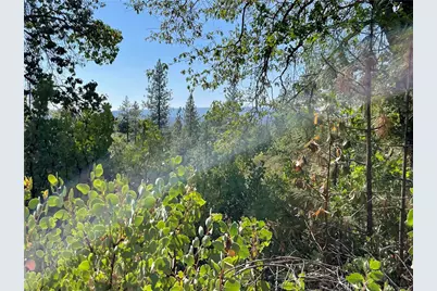 0 Forbestown, Challenge, CA 95925 - Photo 2