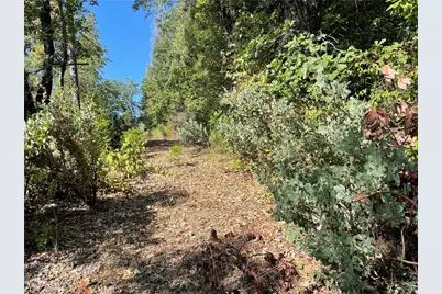 0 Forbestown, Challenge, CA 95925 - Photo 8