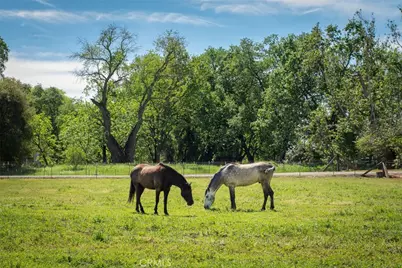 3453 La Porte, Oroville, CA 95966 - Photo 46