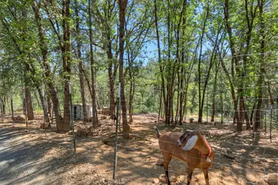 12896 Rices Crossing Road, Oregon House, CA 95962 - Photo 46