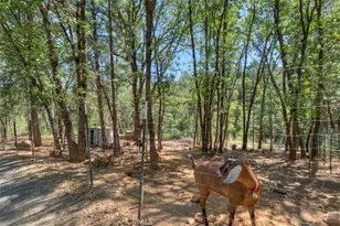 12896 Rices Crossing Rd, Oregon House, CA 95962 - Photo 46