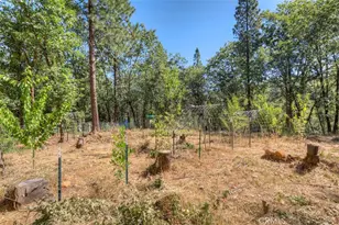 12896 Rices Crossing Rd, Oregon House, CA 95962 - Photo 44