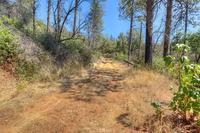 8700 Oro Quincy, Berry Creek, CA 95916 - Photo 16