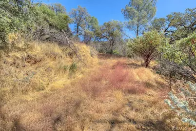 8700 Oro Quincy, Berry Creek, CA 95916 - Photo 26