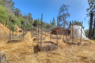 8700 Oro Quincy, Berry Creek, CA 95916 - Photo 20