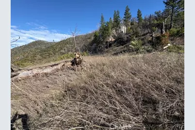 8870 Oro Quincy, Berry Creek, CA 95916 - Photo 6