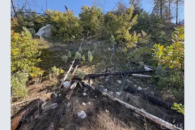 8870 Oro Quincy, Berry Creek, CA 95916 - Photo 10