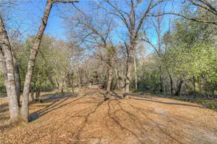 15 Hide A Way, Oroville, CA 95966 - Photo 40