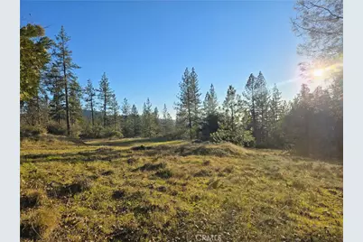 0 Double Eagle Way, Brownsville, CA 95919 - Photo 32