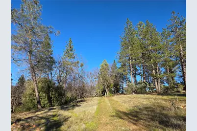 0 Double Eagle Way, Brownsville, CA 95919 - Photo 4