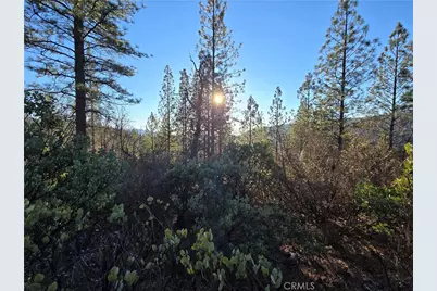 0 Double Eagle Way, Brownsville, CA 95919 - Photo 24