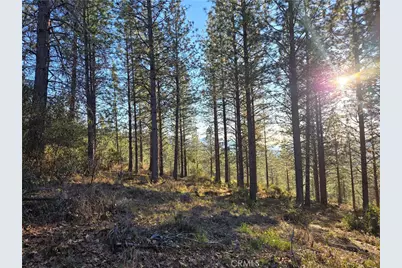 0 Double Eagle Way, Brownsville, CA 95919 - Photo 28