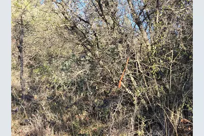 0 Double Eagle Way, Brownsville, CA 95919 - Photo 26