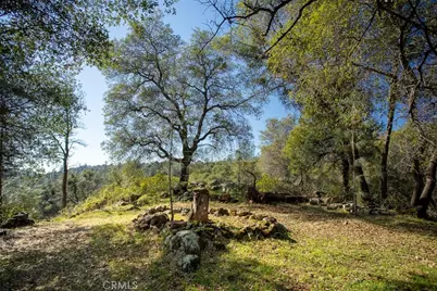 1718 Robinson Mill Road, Bangor, CA 95914 - Photo 38