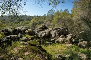 1718 Robinson Mill Rd, Bangor, CA 95914 - Photo 64