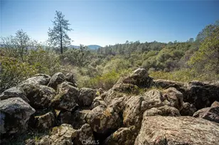 1718 Robinson Mill Rd, Bangor, CA 95914 - Photo 66