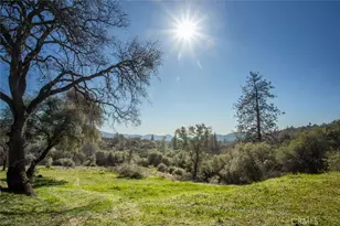 1718 Robinson Mill Rd, Bangor, CA 95914 - Photo 62